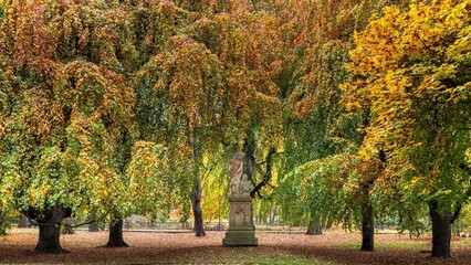 Naklejka premium Krakowskie planty jesienią, czyli wielki park w Krakowie