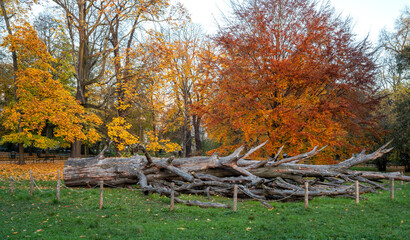 Krakowskie planty jesienią, czyli wielki park w Krakowie