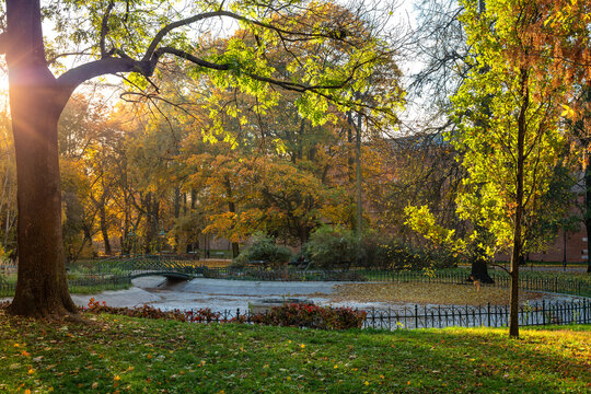 Krakowskie planty jesienią, czyli wielki park w Krakowie