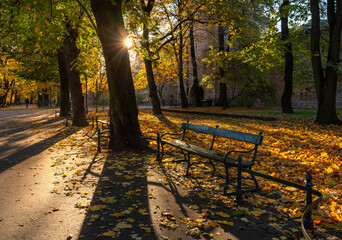 Krakowskie planty jesienią, czyli wielki park w Krakowie © Michal45