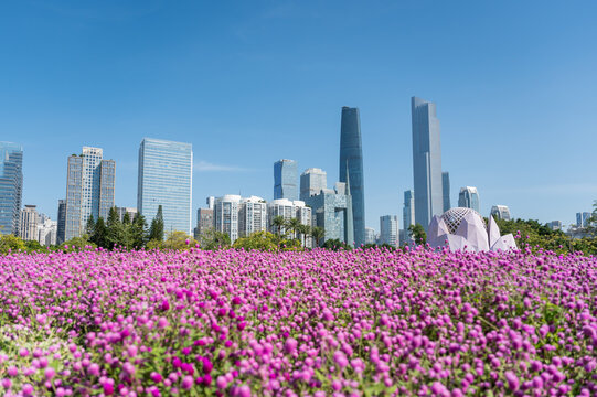 Fototapeta Parks and urban architecture in the city center, Guangzhou, China