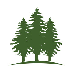 Pine tree logo ilustration vector