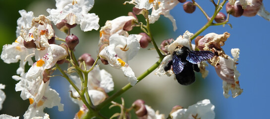 Children playing while sitting on a table in a playground