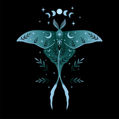 Blue moon moth illustration.  For cards, invitations, T-shirts and more.
