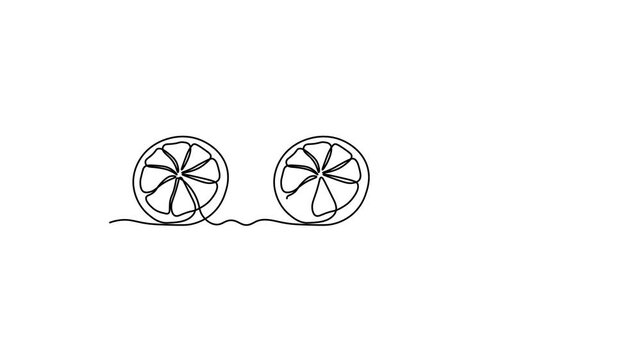 Abstract slice of lemon,orange, lime. Self drawing animation one continuous line draw, logo