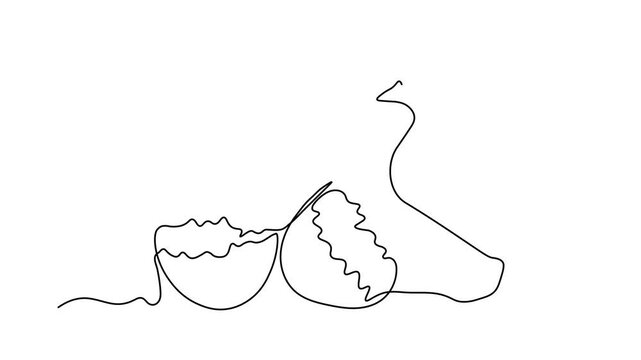 Abstract broken empty egg, egg shell and small newborn chick, Self drawing animation one continuous line draw, logo