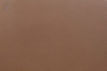 Fototapeta premium brown leather texture