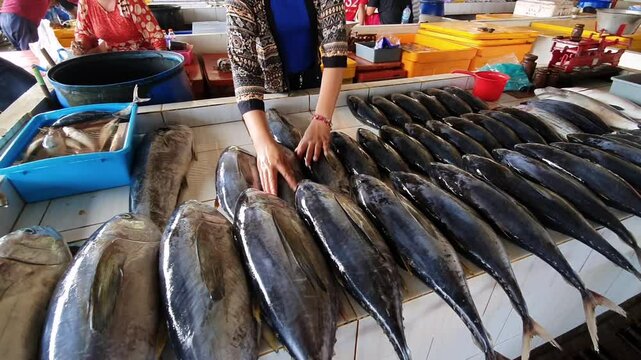 Fish at the market. The fishmonger puts the fish on a porcelain table at the fish market