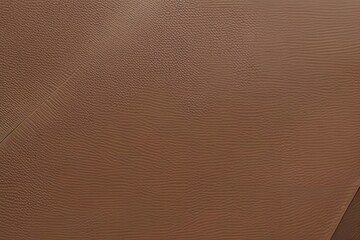 Fototapeta premium brown leather texture