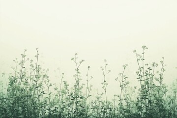 Obraz premium Minimalistic botanical design featuring light green herbaceous plants