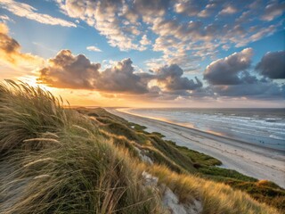 Serene Soft Rolling Dunes Adorned with Wispy Grass Under a Bright Sky Capturing Nature's Beauty