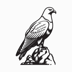The eagle, predatory bird, down with outstretched wings.