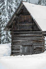 Winter atmosphere. Inside a thick snowfall. Sappada, Dolomites.