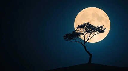 Fototapeta premium Moonlit landscape with a solitary tree against a dark blue background.