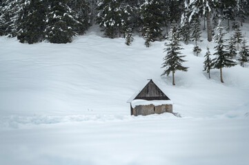 Winter atmosphere. Inside a thick snowfall. Sappada, Dolomites.