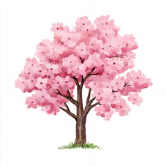 Obraz premium A watercolor illustration of a blooming pink cherry tree on a white background.