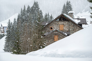Fototapeta premium Winter atmosphere. Inside a thick snowfall. Sappada, Dolomites.