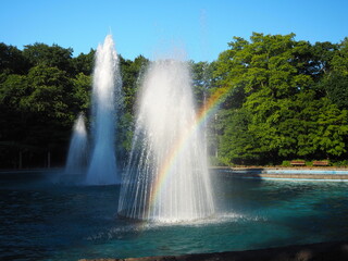 公園の噴水にかかる虹