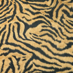 zebra leopard pattern