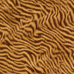 zebra leopard pattern