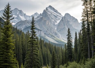 Obraz premium Majestic Mountain Peaks Rise Against a White Background in Simple Style for Minimalist Design Lovers