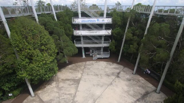 Curtis Crest Treetop Walk Of Penang Hill In Bukit Bendera, Penang, Malaysia. Tilt-up Shot