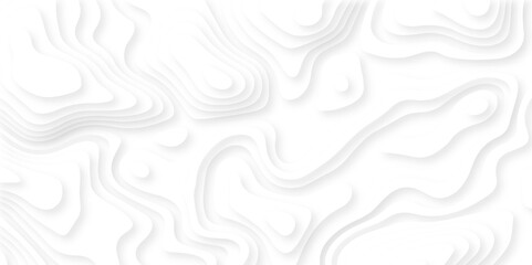 Abstract white paper cut background with lines. Background of the topographic map. White wave paper curved reliefs abstract background. Realistic papercut decoration textured with wavy layers.