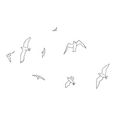 Birds fly in a row
