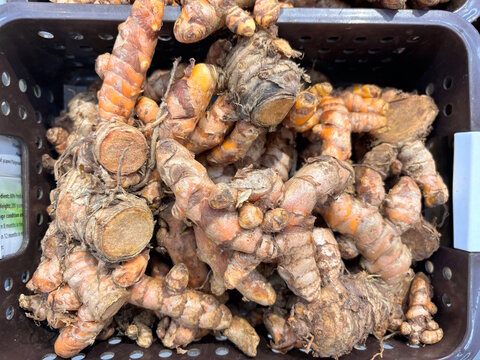 Turmeric or kunyit. Bulk turmeric on the market. 