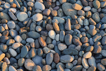 A close-up of a collection of smooth, multicolored pebbles and stones. These natural beach rocks display a variety of earthy tones and textures, creating a calming and organic aesthetic.