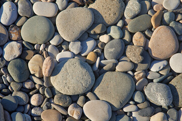 A close-up of a collection of smooth, multicolored pebbles and stones. These natural beach rocks display a variety of earthy tones and textures, creating a calming and organic aesthetic.