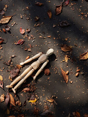 秋の公園の地面の落ち葉と寂しいマネキン人形の様子