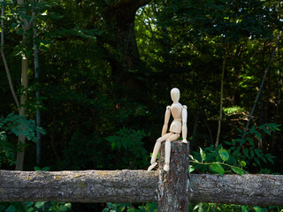 秋の公園のベンチに座るかわいいマネキン人形の様子