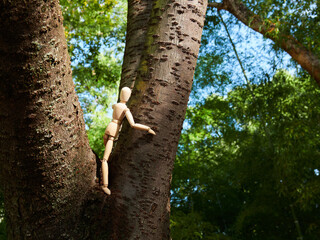 秋の公園の木の上にあるかわいいマネキン人形の様子