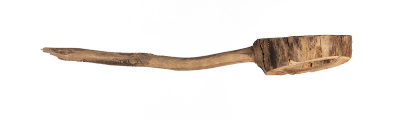 dry cut of tree with branch isolated on white background