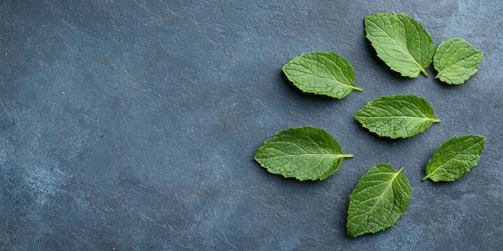Fresh mint leaves on a textured dark background, ideal for culinary and health themes.