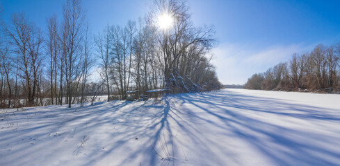 Obraz premium winter snowbound forest glade at cold sunny day