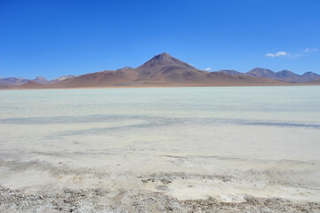 Laguna Blanca  salt lake near the Licancabur volcano in Bolivia