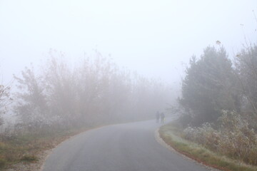 A man on the road in a foggy dawn. Silhouettes of two female figures walking in the thick morning fog. Autumn morning, thick fog on a cloudy day.