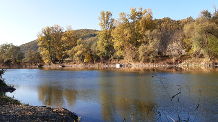 Autumn in the forest