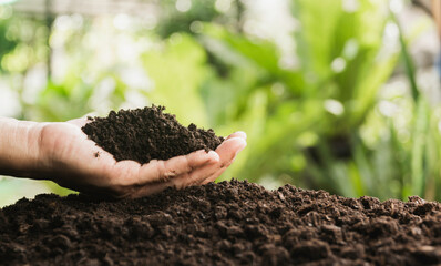 Male hands holding soil on the field. Farmer checking soil health before growth a seed of plant seedling.