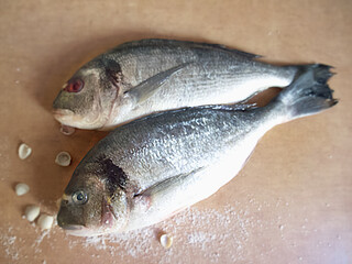 fresh fish on a plate