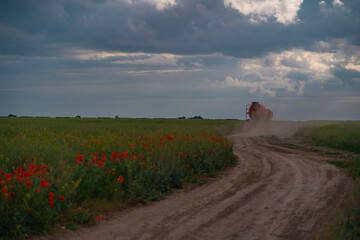 A concrete mixer walking on a field with flowers. Construction equipment on a country road at sunset