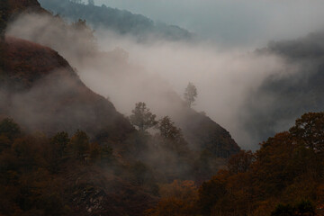 Foggy day in the mountain