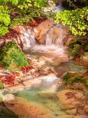 waterfall in the forest