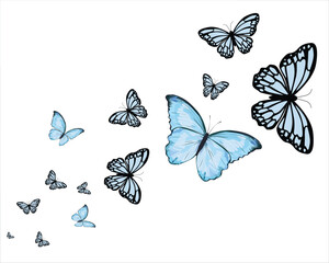 flock new blues