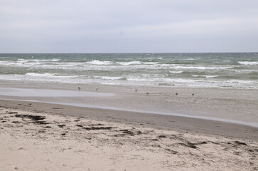 waves on the beach