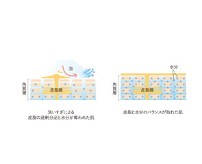 図版_肌図版_023_洗いすぎによる皮脂分泌