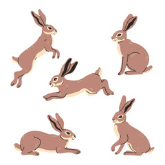 Set of wild hares in different poses. Vector graphics