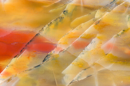 Vivid Petrified Wood Detail from Late Triassic Period